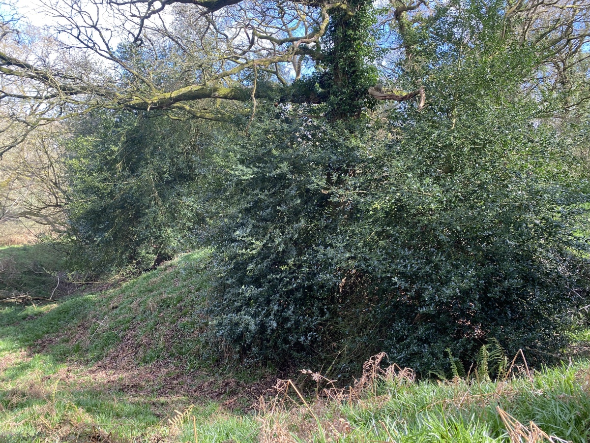 Mincimore Copse Tumulus