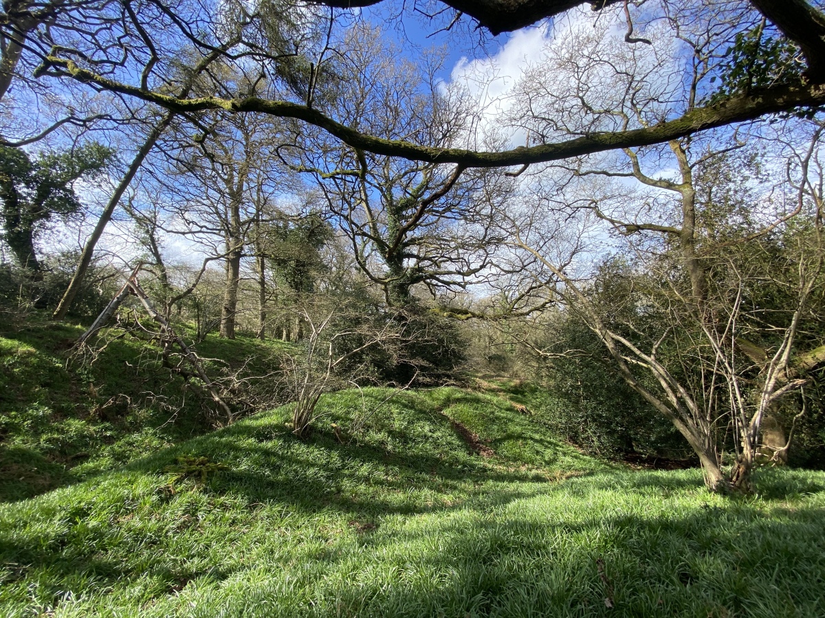 Mincimore Copse Tumulus