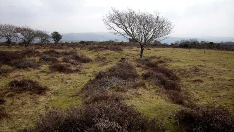 Roborough Down Earthworks