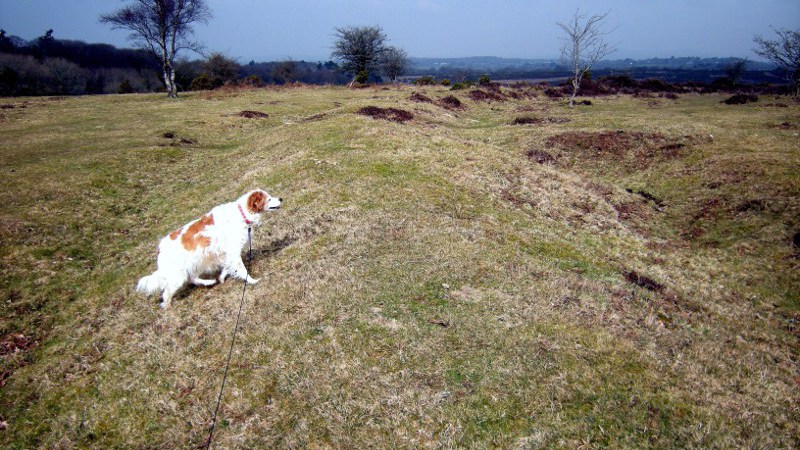Roborough Down Earthworks