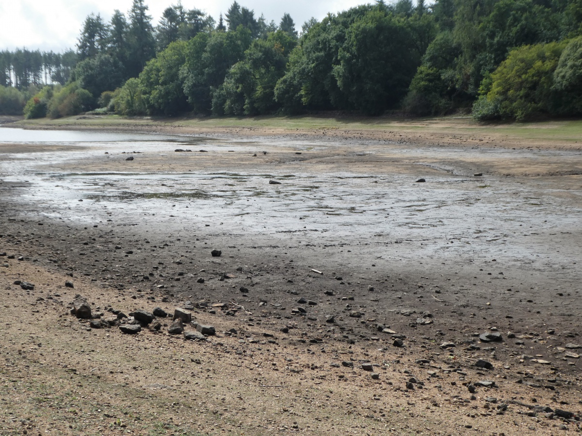 View of the circle beyond the single row, as approaching down the eastern shore of the reservoir