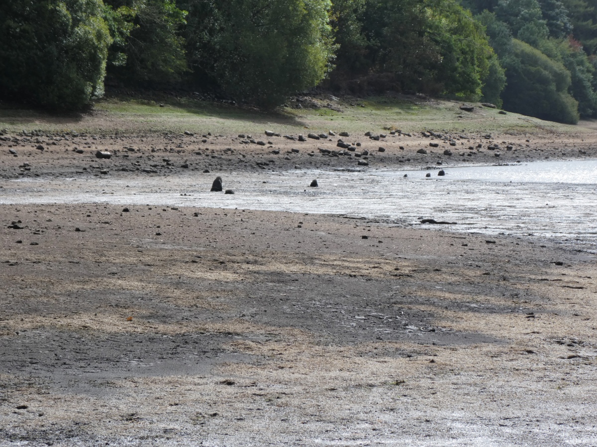 Zoomed in across the mound to the double row from the stone circle