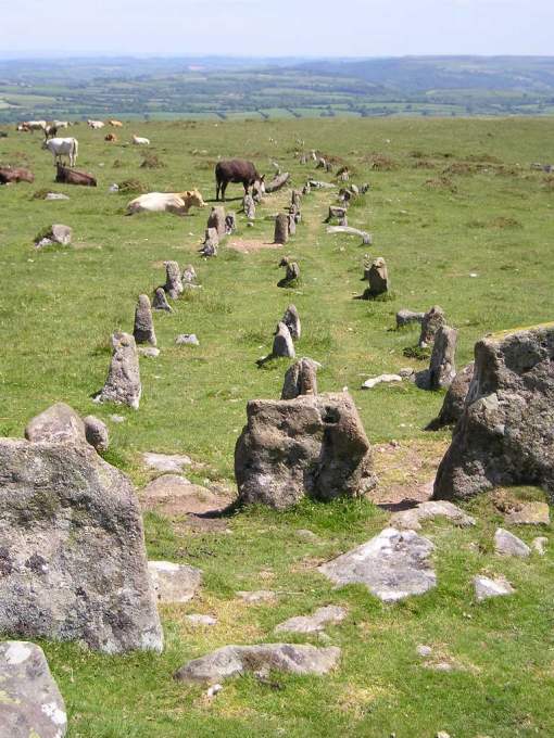 Click for the gallery page to add comments and vote (PID:7694) Cosdon Hill Multiple Stone Rows