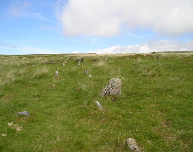 Hart Tor north rows