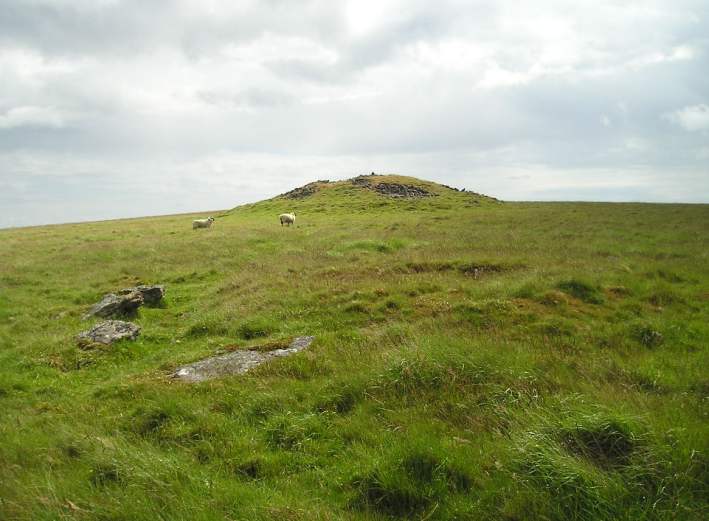 Butterdon Stone Circle, Butterdon Hill, Dartmoor, Devon SX656588 

The fantastic Butterdon Hill stone row starts at a cairn situated just downslope to the north of the largest cairn on the hilltop. The cairn is the usual mass of stones with a hollowed out middle, about 8 metres in diameter. Outside the remains of the cairn lies a ring of large fallen slabs, which once must have made an impressiv