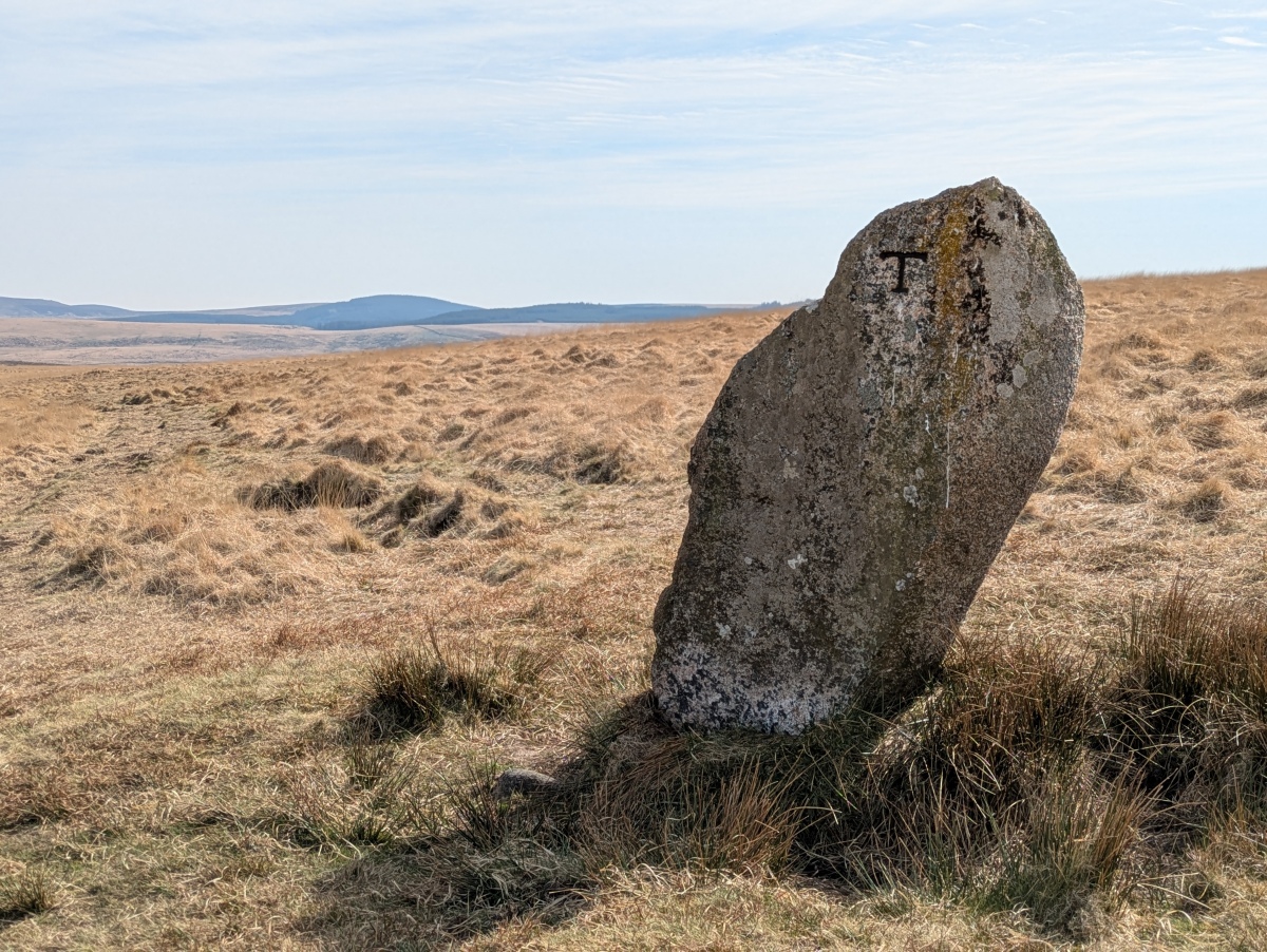 White Moor Stone