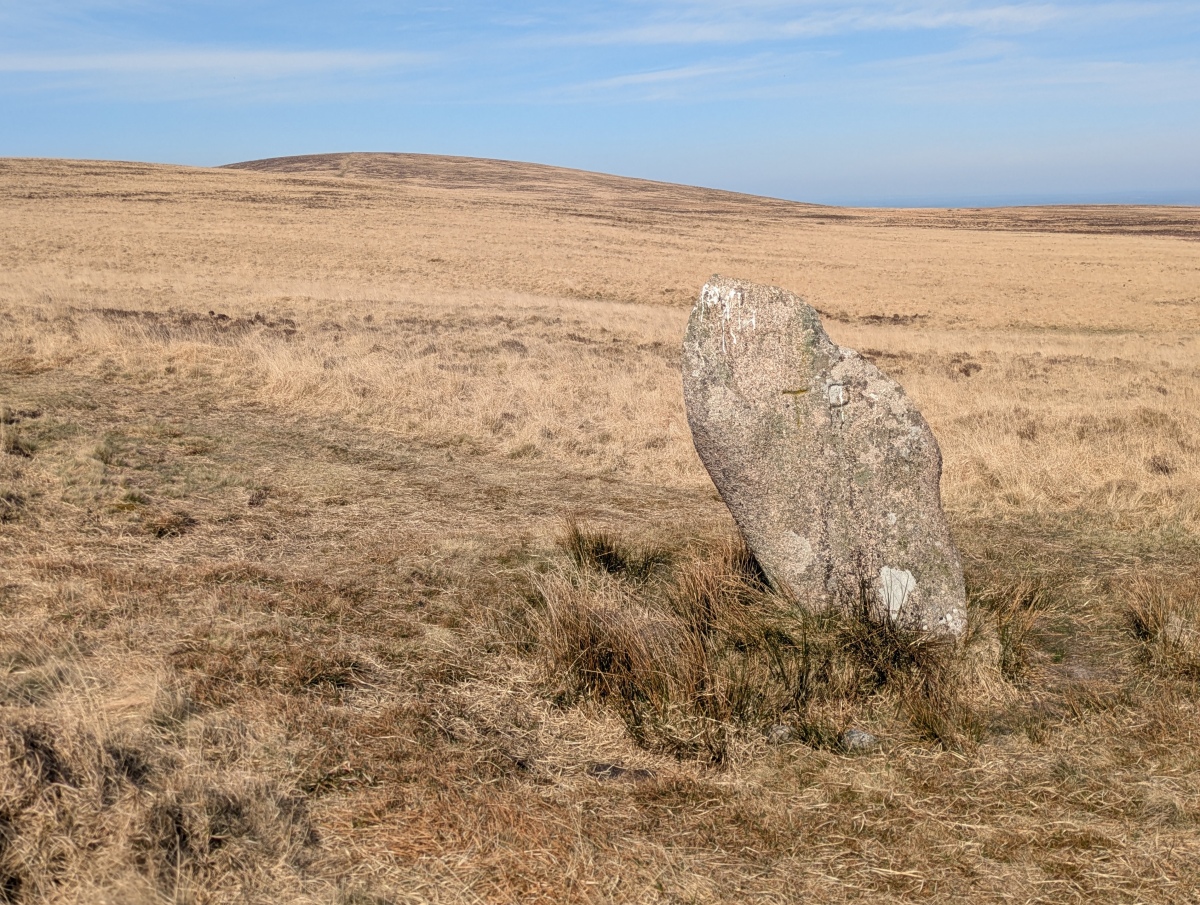 Click for full size image of White Moor Stone (PID:289294) White Moor Stone