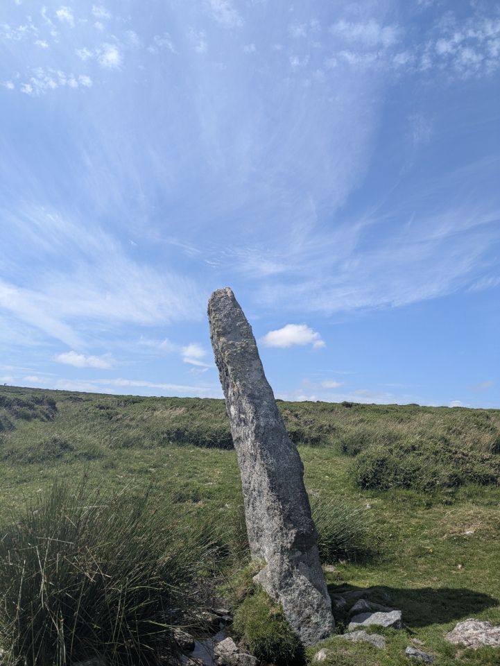 Harbourne Head Standing Stone