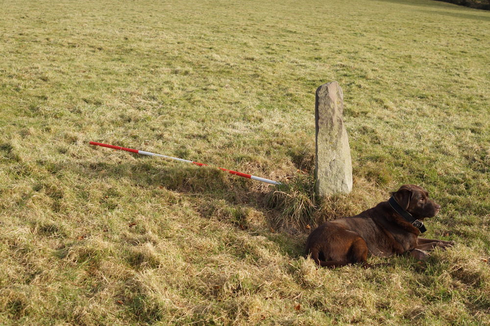 Parracombe Standing Stone