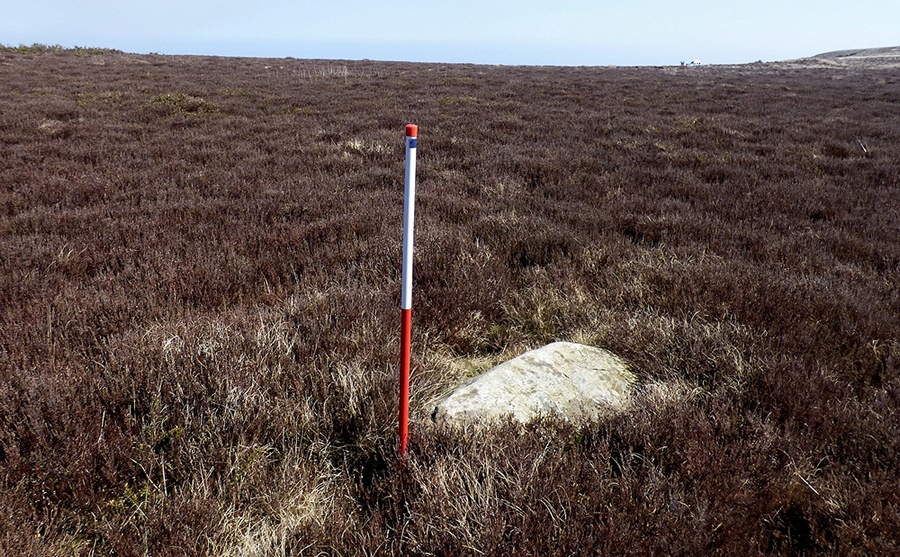 Porlock Common North East