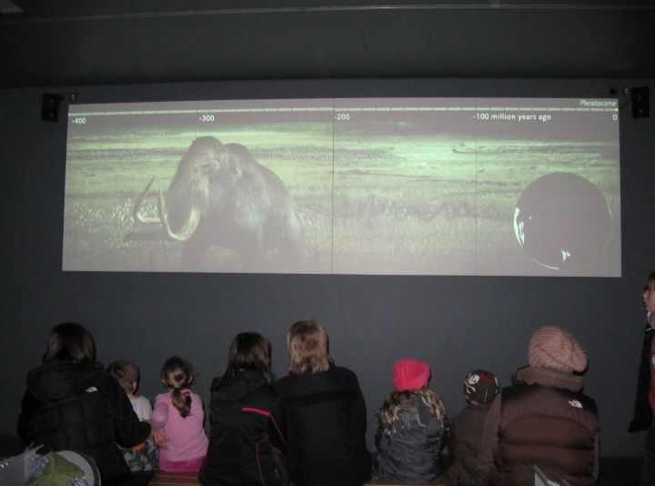 Many collections were enhanced by audio-visual display.  This was one of the largest and most popular, in the first room with the three displays of ancient tools, rocks and fossils.
The museum was very well attended today, despite Christmas shopping!