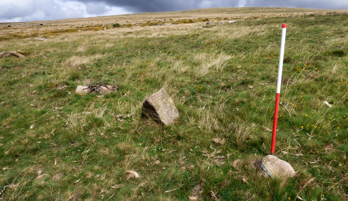 Shell Top South-West stone row