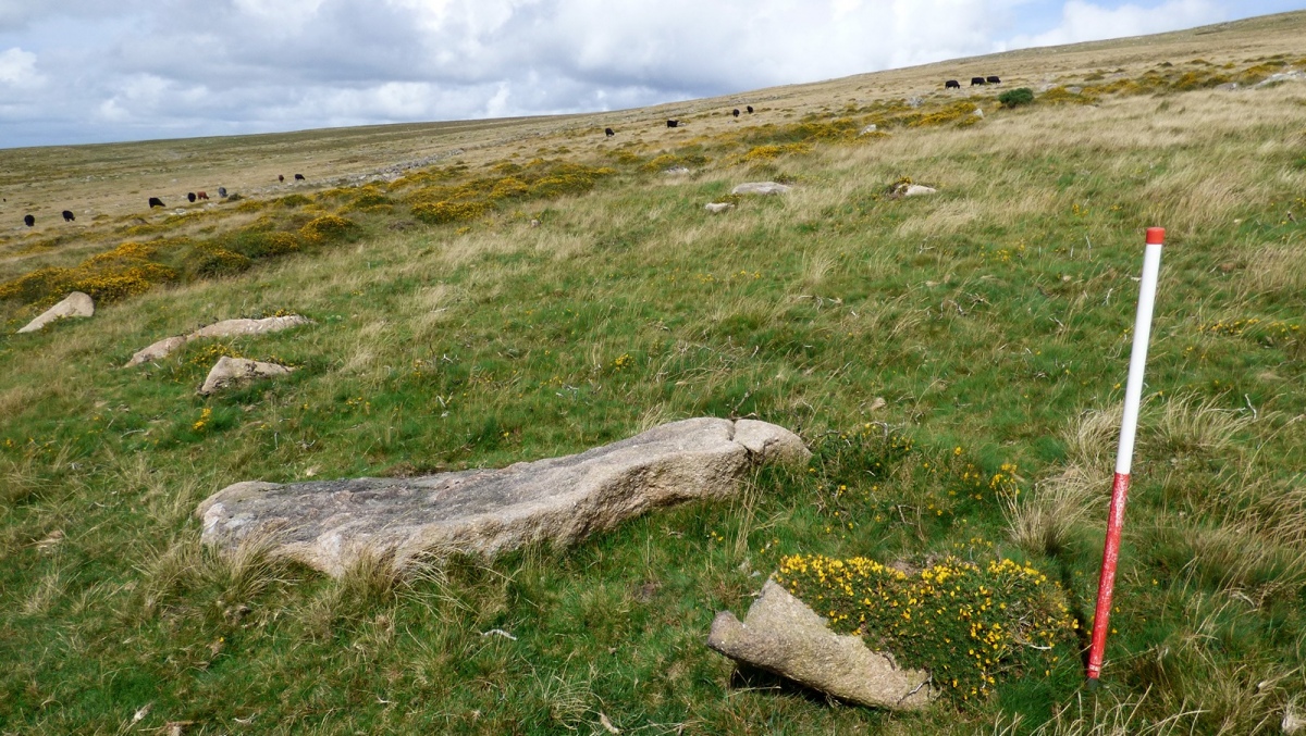 Shell Top South-West stone row