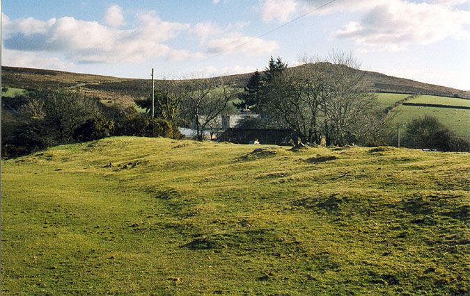 A close-up of the remnants of the little stone row that runs along the east side of the barrow. The 'High' stone above the barrow's 'SE entrance' may be seen clearly in this picture, tucked under the bushes middle right.  The barrow seems to be orientated towards the summit of Corndon Tor, 434m, approximately SE. 
