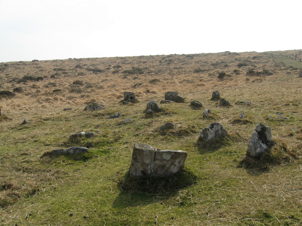 The four-fold circle at the top of Row 2 on Shovel Down around mid-day on Spring Equinox 2012.