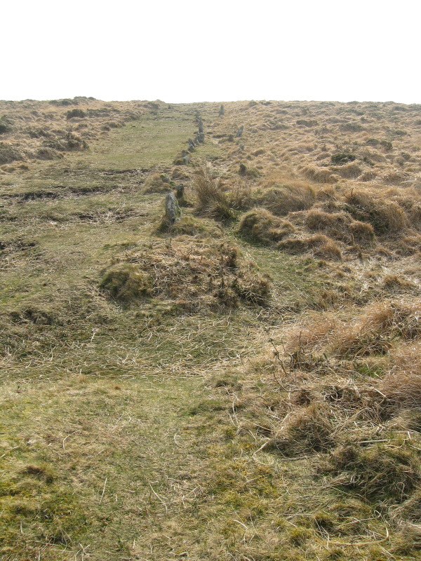 Looking south, up Row 4, at Shovel Down on Spring Equinox 2012.
(NB: ADMINS.. just posted up another Row 4, wrongly titled 'Row 3'!  Can you please alter number for me.  Thanks.)