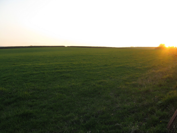 Bow Henge field at Equinox sunset 2012.
Though there is nothing to see today, the actual henge, discovered in 1984 as cropmarks during an aerial survey,  lay in the far corner of this field on slightly elevated ground (just about visible in the low light rays) a few yards in from the SW gateway.
(This is taken from the NE field gate that is at right-angles to the main road, opposite Silver Stree