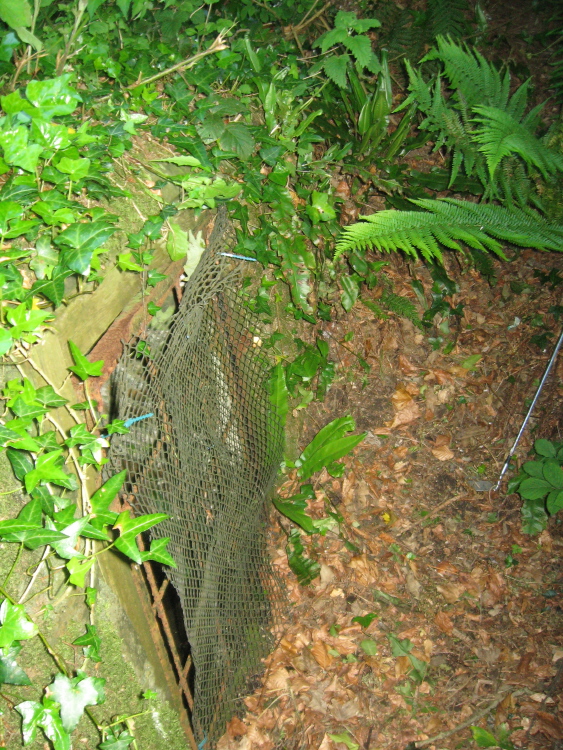 St. Rumon's well