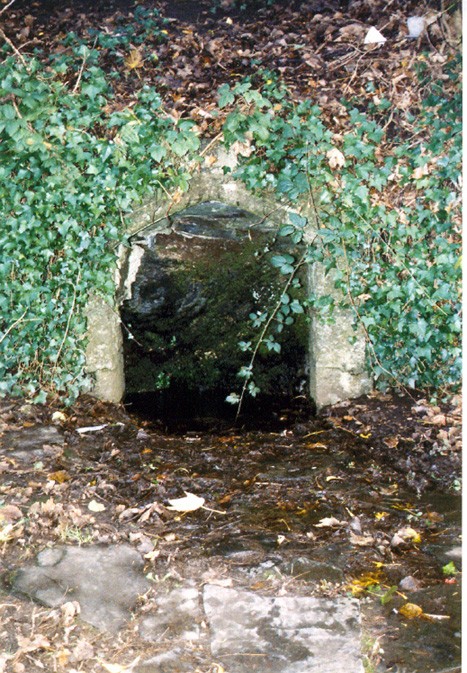 Click for the gallery page to add comments and vote (PID:11168) St John's Well (Tavistock)
