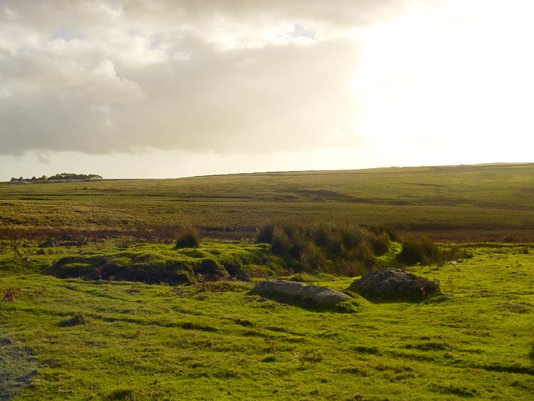 One of the pillow mounds at the Trowlesworthy Complex. The picture was taken from the back of the mound which is oriented to the WSW. 

These medieval mounds are often mistaken for barrows