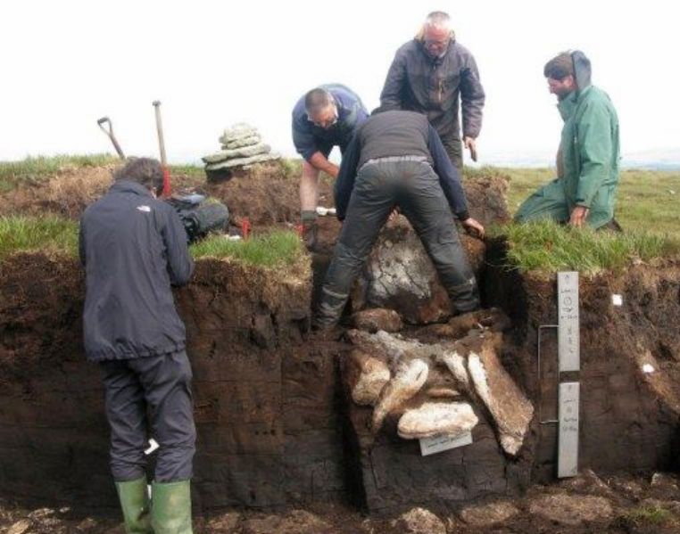 Whitehorse Hill cist
