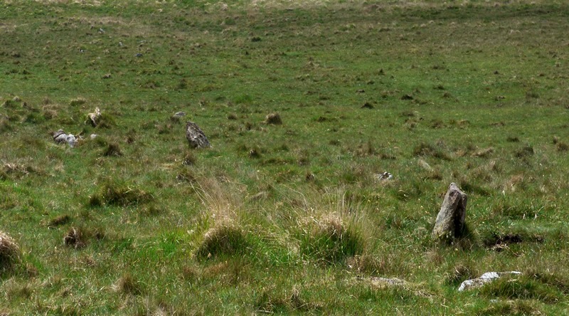 Very few of the stones remain standing. View from the north.