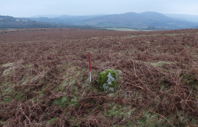 Stone 1. Standing stone measuring 0.55m long by 0.30m wide and 0.60m high. Incorporated into a later historic field boundary. View from north west (Scale 1m).