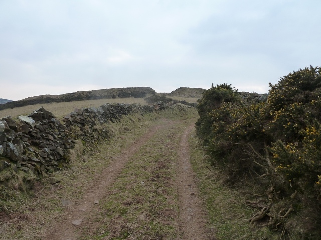 Wind Hill
