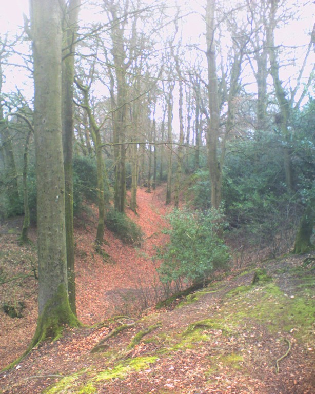 Woodbury Castle dates back to about 500 to 300BC and is situated on a high point of Woodbury Common. Today a road runs throught the middle of the earthwork ramparts.