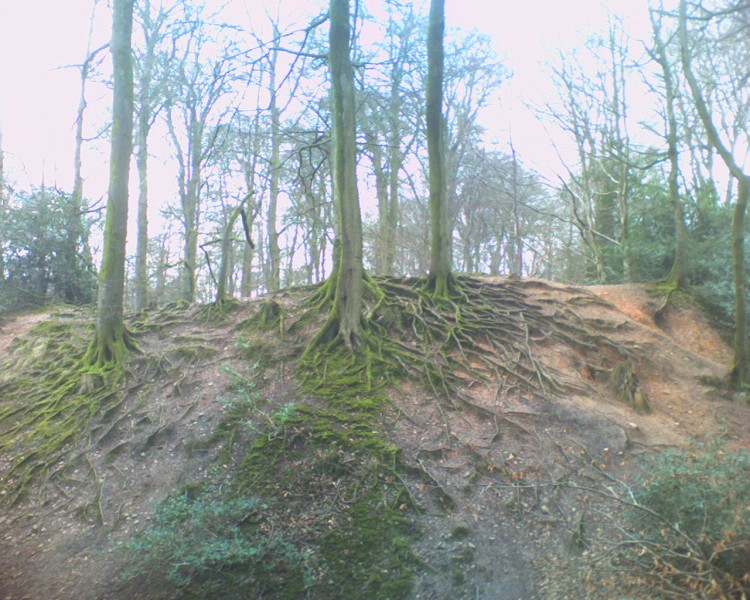 Click for the gallery page to add comments and vote (PID:31082) Woodbury Castle
