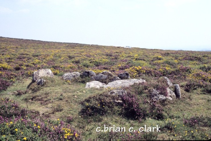 Yar Tor  Stone rows & Burial cysts. @SX 682738
Round Barrow with burial cyst . Near Dartmeet