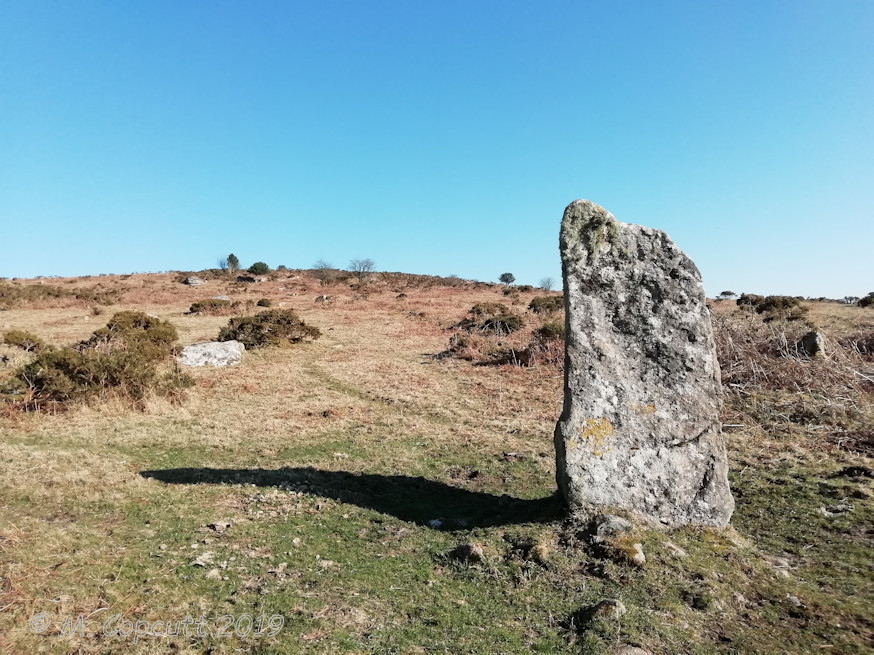 Click for the gallery page to add comments and vote (PID:193998) Butterdon Down West