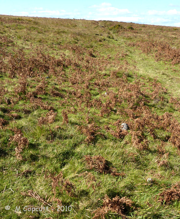 The stones are very small, mostly with only the tops poking out above the turf. In places, particularly near the top, the rows are all very clear, but in other places, most of the stones are either missing or completely buried. Far more stones are missing than can be found.