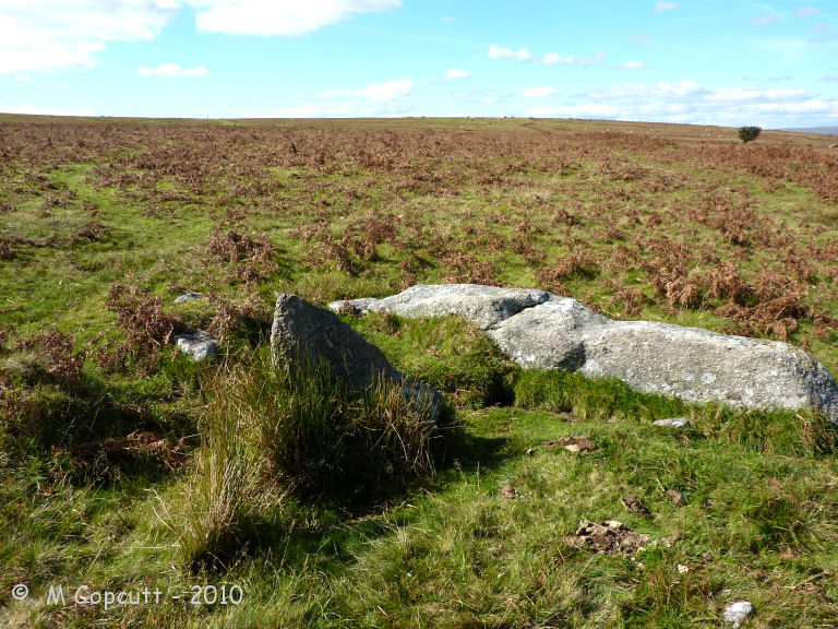 The western, uphill end has two fallen longstones which would have been positions across the ends of each of the southern and central rows, a socket hole being present at the northern row. The central stone is more than three metres in length. There is no apparent obvious cairn here.

About a metre downrow from these, the rows proper start, with a cross set blocking stone at the head of all thre