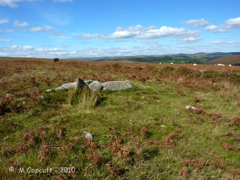 Holne Moor
