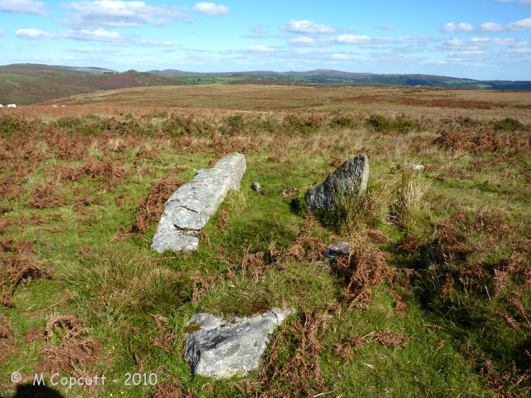 Holne Moor
