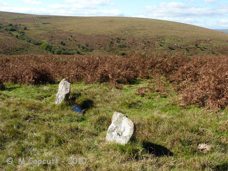 Holne Ridge NE