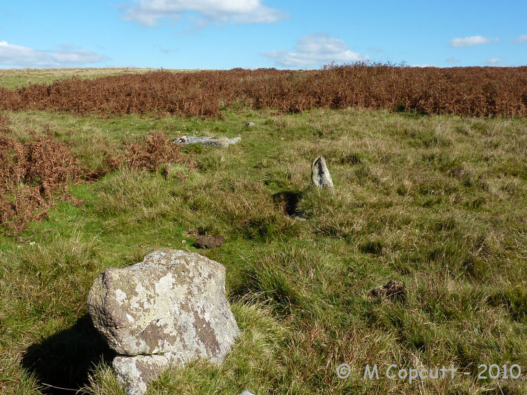 Holne Ridge NE