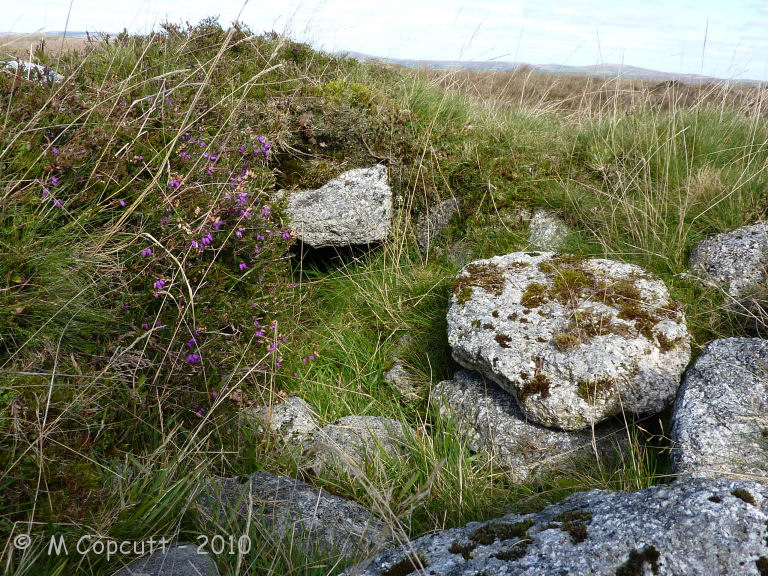 Holne Ridge 7