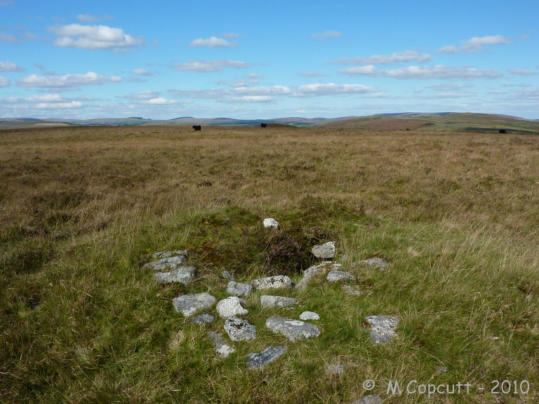 Holne Ridge 7