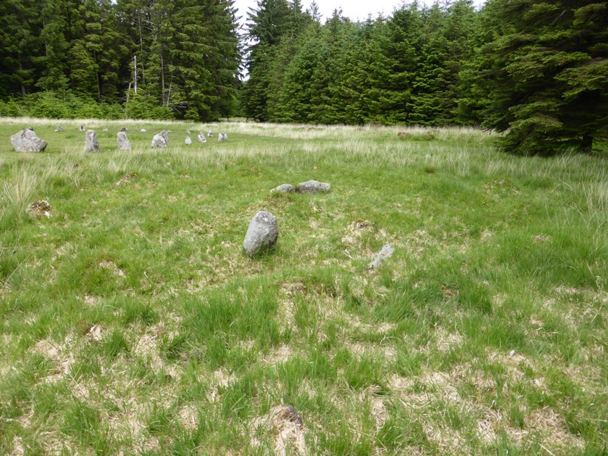 Fernworthy stone row SE