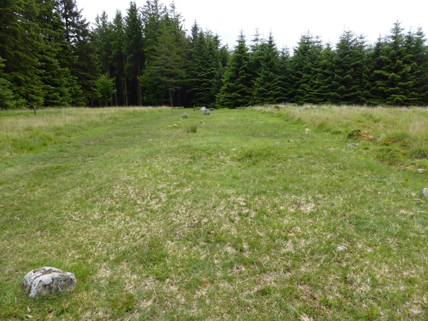 Fernworthy stone row SW