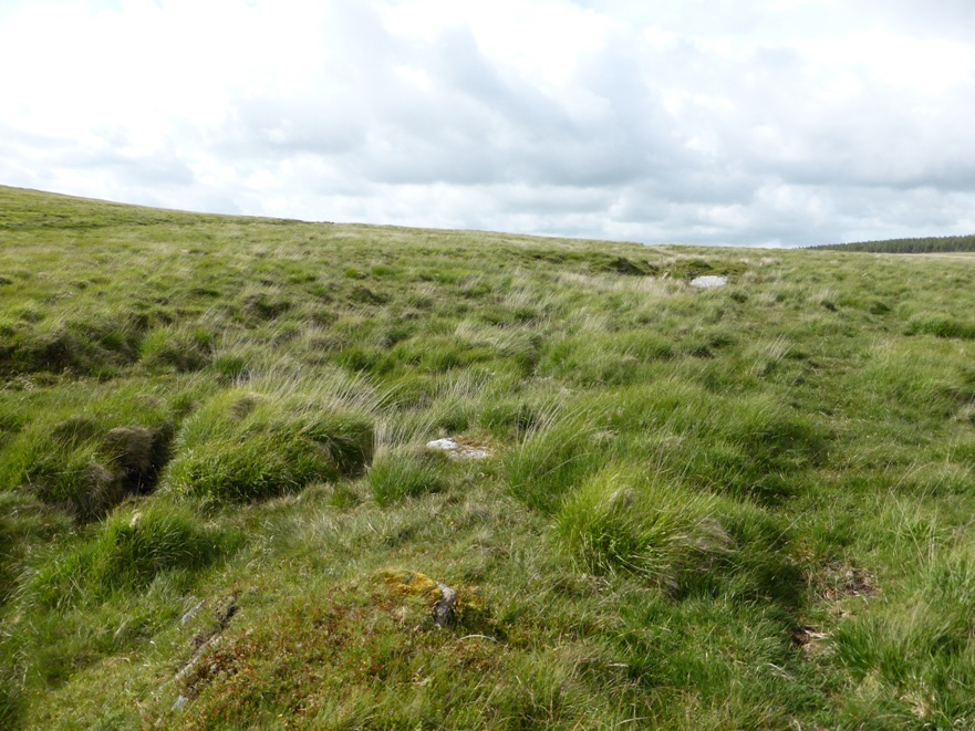 Sittaford Tor pound