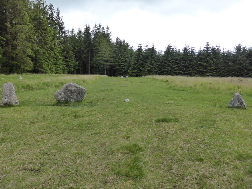 Fernworthy stone row SW