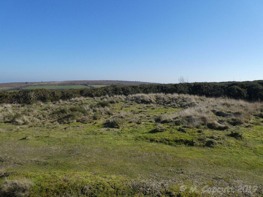 Marden Down East