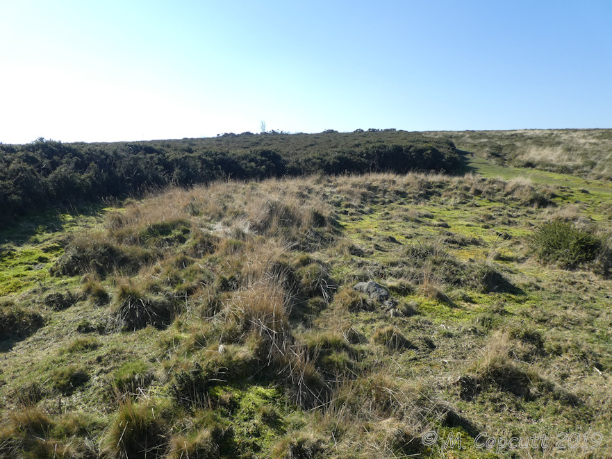 Marden Down East