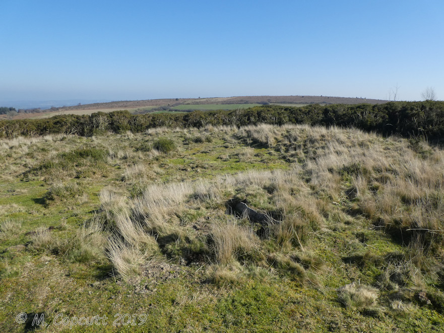 Marden Down East