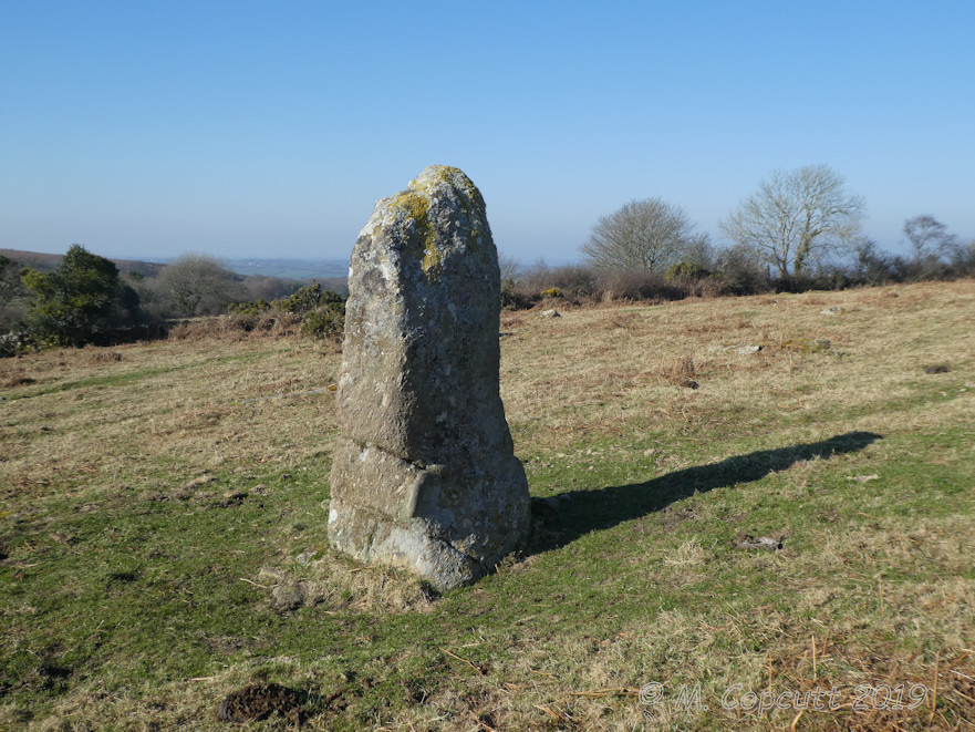 Butterdon Down West
