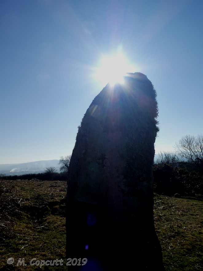 Butterdon Down West