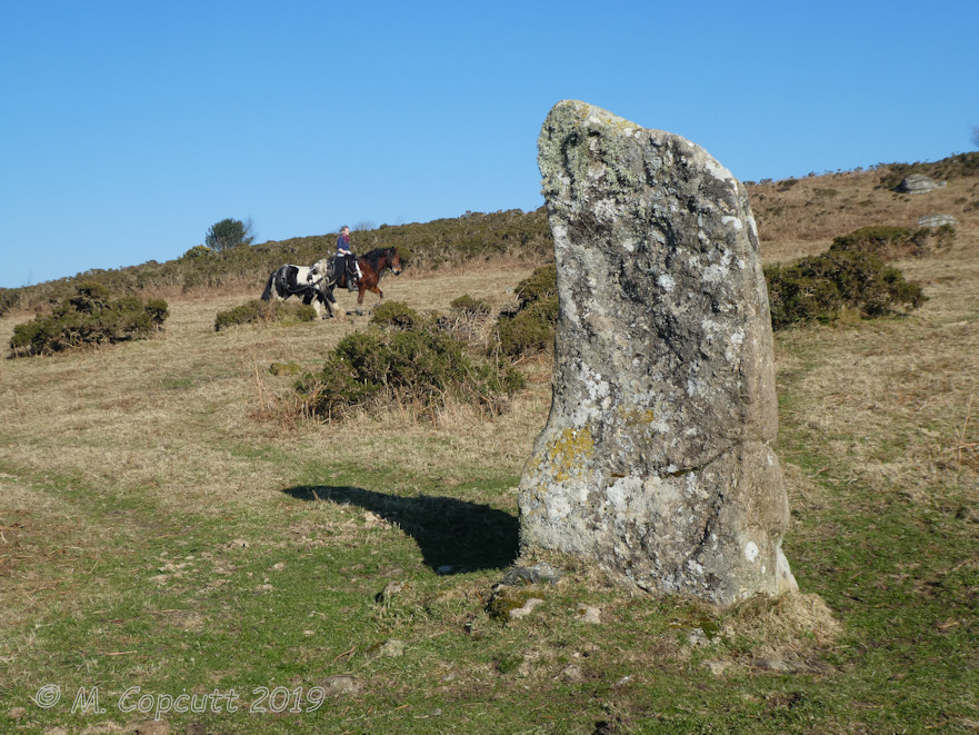 Butterdon Down West